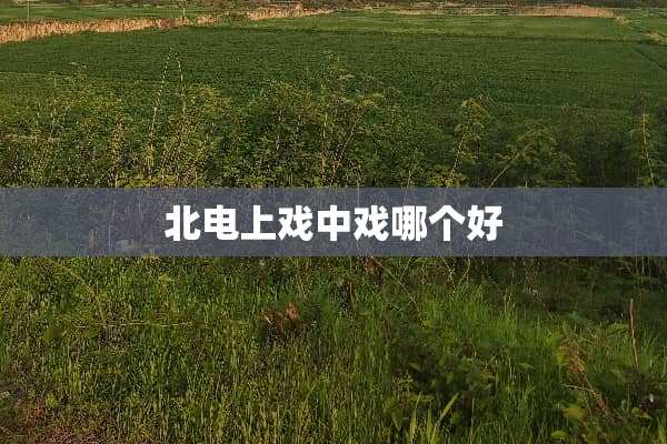 北电上戏中戏哪个好 北电上戏中戏哪个好