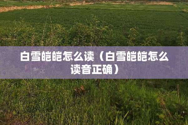 白雪皑皑怎么读（白雪皑皑怎么读音正确）
