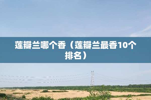 莲瓣兰哪个香(莲瓣兰最香10个排名) 莲瓣兰哪个香(莲瓣兰最香10个排名)