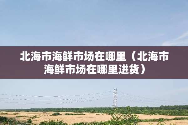 北海市海鲜市场在哪里(北海市海鲜市场在哪里进货) 北海市海鲜市场在哪里(北海市海鲜市场在哪里进货)