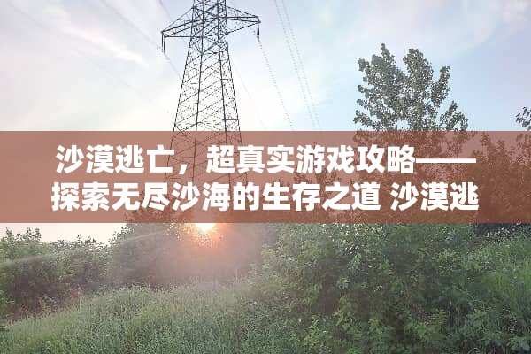 沙漠逃亡,超真实游戏攻略——探索无尽沙海的生存之道 沙漠逃亡超真实游戏攻略 沙漠逃亡,超真实游戏攻略——探索无尽沙海的生存之道 沙漠逃亡超真实游戏攻略