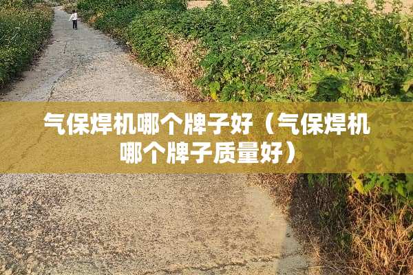 气保焊机哪个牌子好（气保焊机哪个牌子质量好）