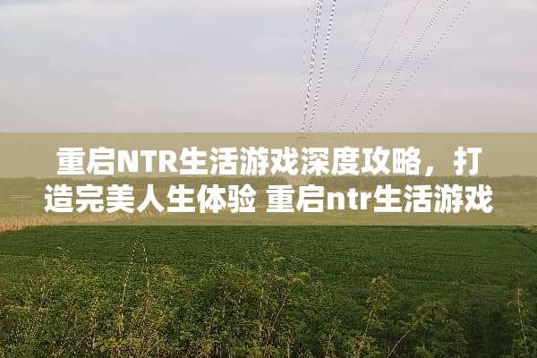 重启NTR生活游戏深度攻略，打造完美人生体验 重启ntr生活游戏攻略