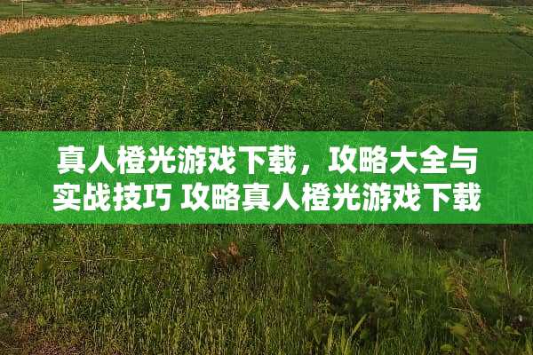 真人橙光游戏下载,攻略大全与实战技巧 攻略真人橙光游戏下载 真人橙光游戏下载,攻略大全与实战技巧 攻略真人橙光游戏下载
