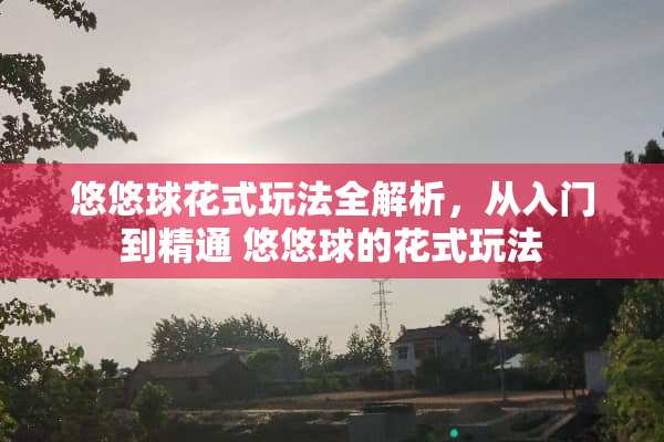 悠悠球花式玩法全解析,从入门到精通 悠悠球的花式玩法 悠悠球花式玩法全解析,从入门到精通 悠悠球的花式玩法