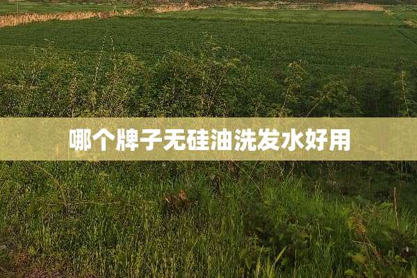 哪个牌子无硅油洗发水好用 哪个牌子无硅油洗发水好用