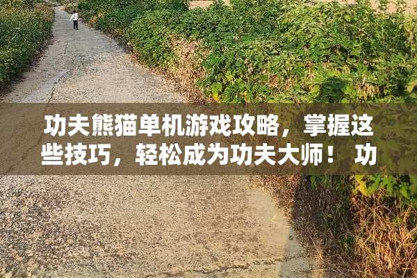 功夫熊猫单机游戏攻略,掌握这些技巧,轻松成为功夫大师! 功夫熊猫单机游戏攻略 功夫熊猫单机游戏攻略,掌握这些技巧,轻松成为功夫大师! 功夫熊猫单机游戏攻略