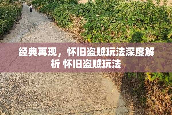 经典再现，**盗贼玩法深度解析**盗贼玩法