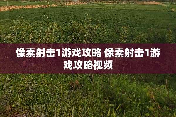 像素射击1游戏攻略 像素射击1游戏攻略视频