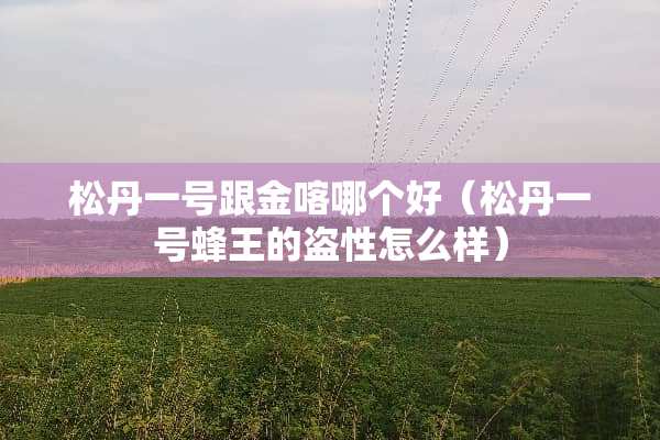 松丹一号跟金喀哪个好(松丹一号蜂王的盗性怎么样) 松丹一号跟金喀哪个好(松丹一号蜂王的盗性怎么样)