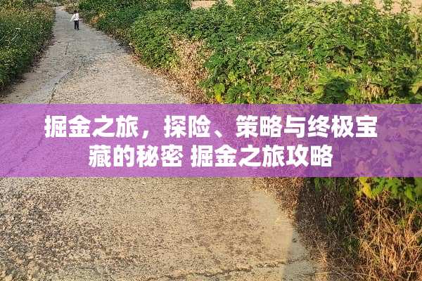 掘金之旅，探险、策略与终极宝藏的秘密 掘金之旅攻略