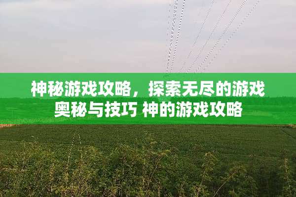 神秘游戏攻略,探索无尽的游戏奥秘与技巧 神的游戏攻略 神秘游戏攻略,探索无尽的游戏奥秘与技巧 神的游戏攻略