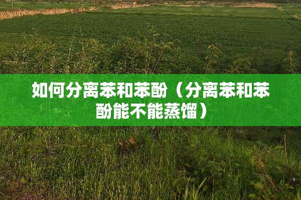 如何分离苯和苯酚（分离苯和苯酚能不能蒸馏）