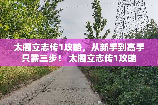 太阁立志传1攻略，从新手到高手只需三步！ 太阁立志传1攻略