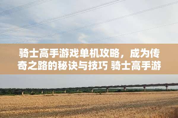 骑士高手游戏单机攻略，成为传奇之路的秘诀与技巧 骑士高手游戏单机攻略