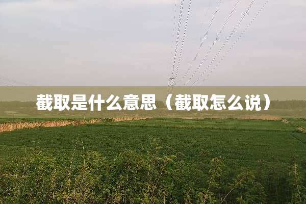 截取是什么意思（截取怎么说）