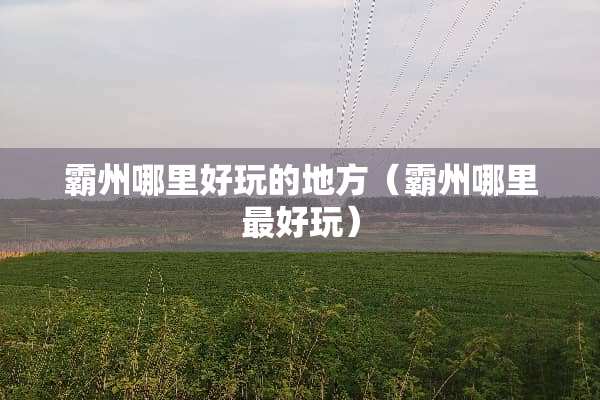 霸州哪里好玩的地方（霸州哪里最好玩）