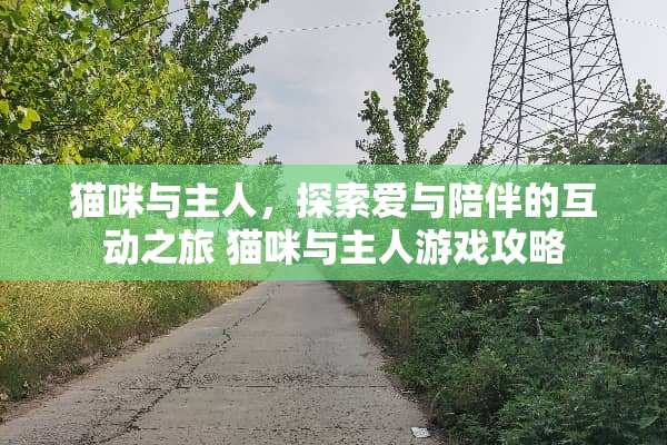 猫咪与主人，探索爱与陪伴的互动之旅 猫咪与主人游戏攻略