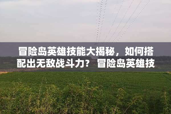 冒险岛英雄技能大揭秘,如何搭配出无敌战斗力? 冒险岛英雄技能展示 冒险岛英雄技能大揭秘,如何搭配出无敌战斗力? 冒险岛英雄技能展示