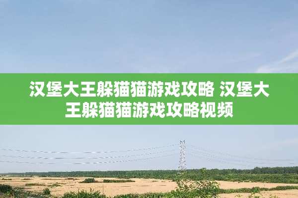 汉堡大王躲猫猫游戏攻略 汉堡大王躲猫猫游戏攻略视频