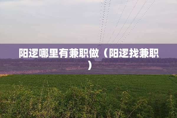 阳逻哪里有兼职做（阳逻找兼职）