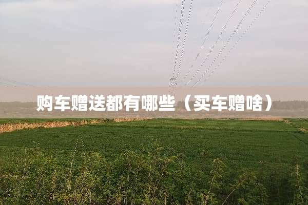 购车赠送都有哪些(买车赠啥) 购车赠送都有哪些(买车赠啥)