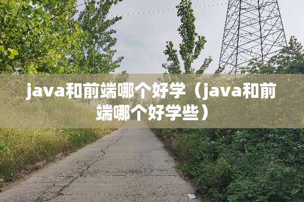 java和前端哪个好学（java和前端哪个好学些）