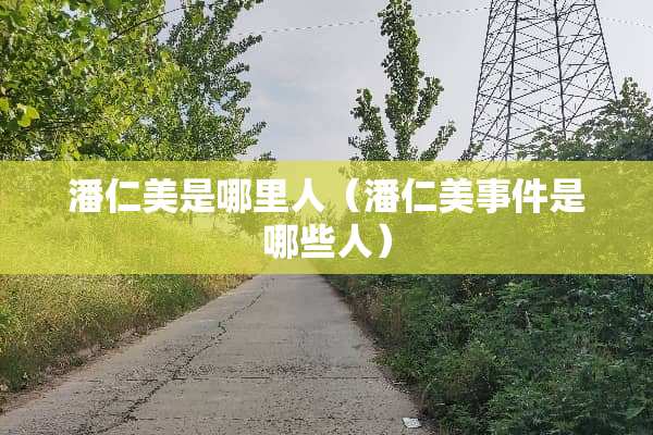 潘仁美是哪里人（潘仁美事件是哪些人）