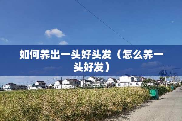 如何养出一头好头发（怎么养一头好发）