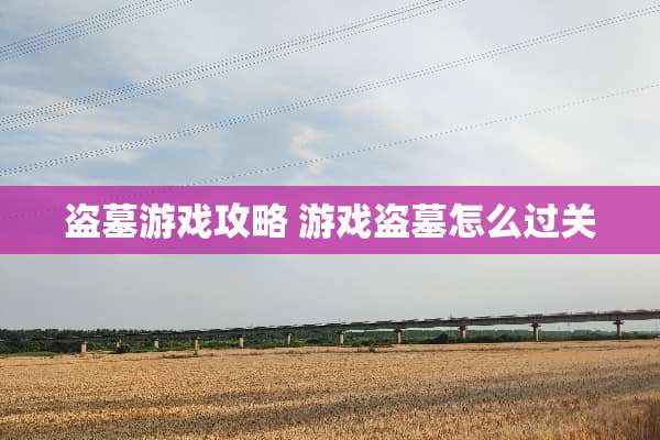 盗墓游戏攻略 游戏盗墓怎么过关
