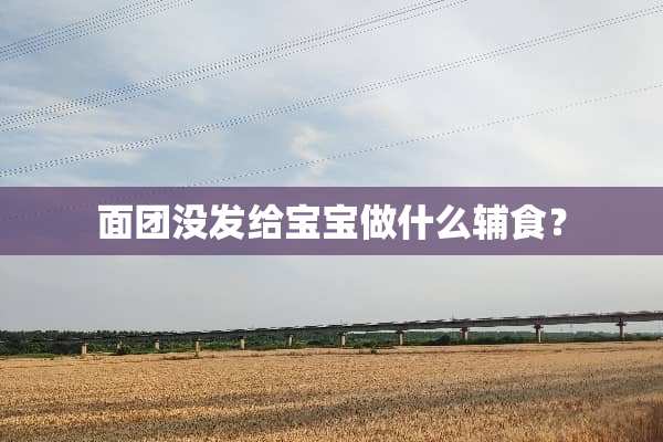 面团没发给宝宝做什么辅食？