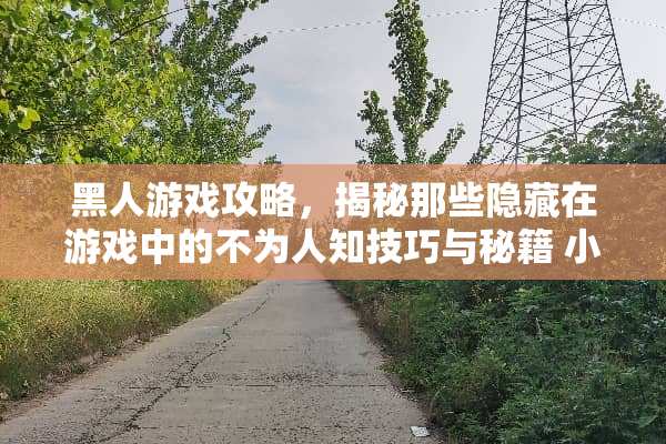 黑人游戏攻略，揭秘那些隐藏在游戏中的不为人知技巧与秘籍 小黑人游戏攻略