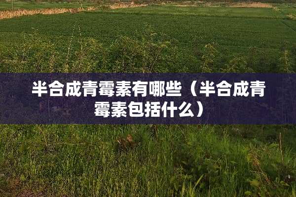 半合成青霉素有哪些（半合成青霉素包括什么）