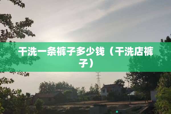 干洗一条裤子多少钱(干洗店裤子) 干洗一条裤子多少钱(干洗店裤子)