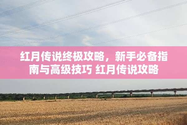 红月传说终极攻略,新手必备指南与高级技巧 红月传说攻略 红月传说终极攻略,新手必备指南与高级技巧 红月传说攻略
