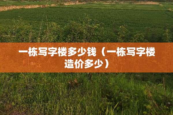 一栋写字楼多少钱（一栋写字楼造价多少）