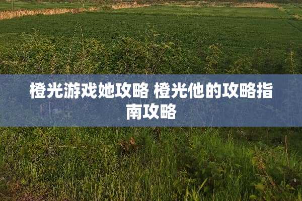 橙光游戏她攻略 橙光他的攻略指南攻略