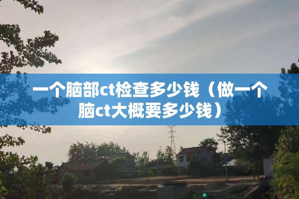 一个脑部ct检查多少钱（做一个脑ct大概要多少钱）