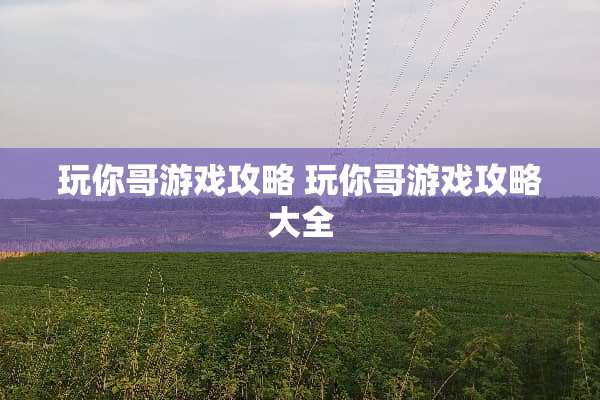 玩你哥游戏攻略 玩你哥游戏攻略大全