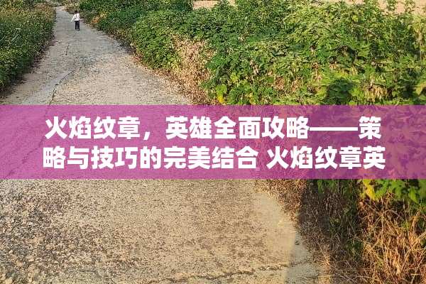 火焰纹章，英雄全面攻略——策略与技巧的完美结合 火焰纹章英雄攻略