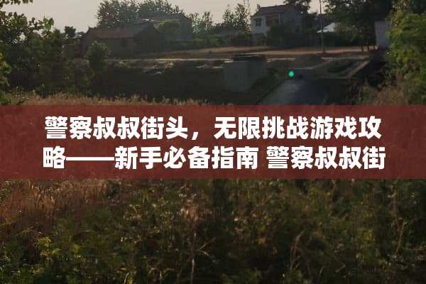 **叔叔街头，无限挑战游戏攻略——新手必备指南**叔叔街头游戏攻略