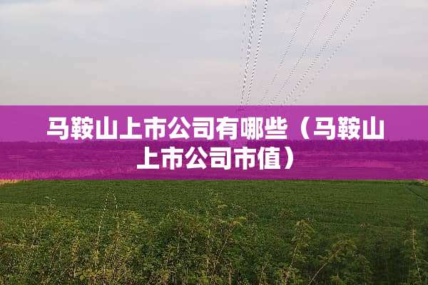 马鞍山上市公司有哪些（马鞍山上市公司市值）