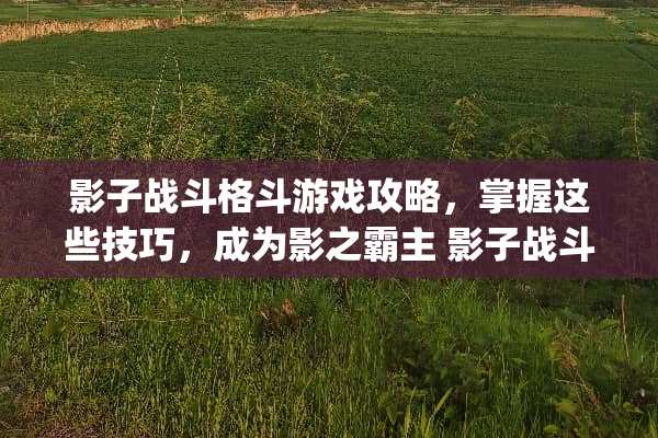 影子战斗格斗游戏攻略,掌握这些技巧,成为影之霸主 影子战斗_格斗游戏攻略 影子战斗格斗游戏攻略,掌握这些技巧,成为影之霸主 影子战斗_格斗游戏攻略