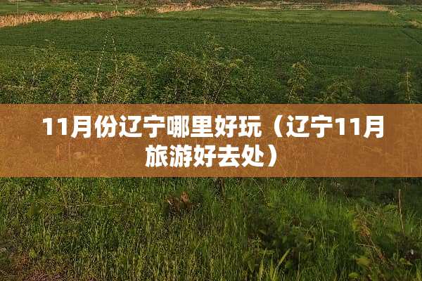 11月份辽宁哪里好玩(辽宁11月旅游好去处) 11月份辽宁哪里好玩(辽宁11月旅游好去处)