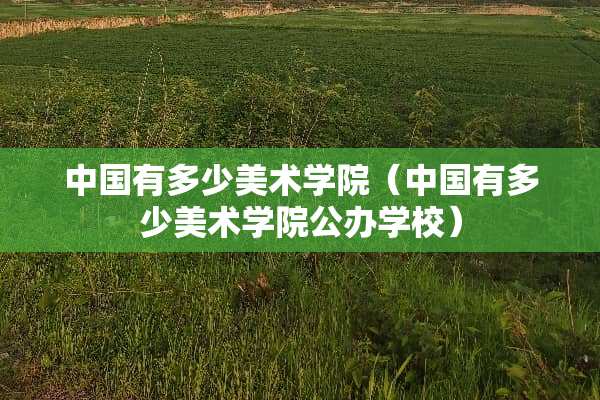 中国有多少美术学院（中国有多少美术学院公办学校）