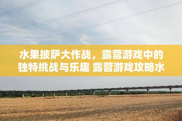 水果披萨大作战，露营游戏中的独特挑战与乐趣 露营游戏攻略水果披萨