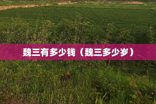 魏三有多少钱(魏三多少岁) 魏三有多少钱(魏三多少岁)