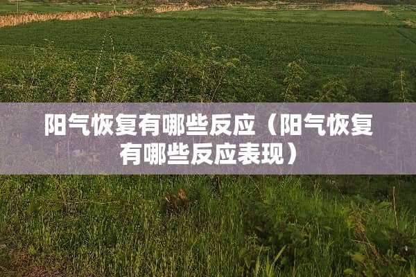阳气恢复有哪些反应(阳气恢复有哪些反应表现) 阳气恢复有哪些反应(阳气恢复有哪些反应表现)