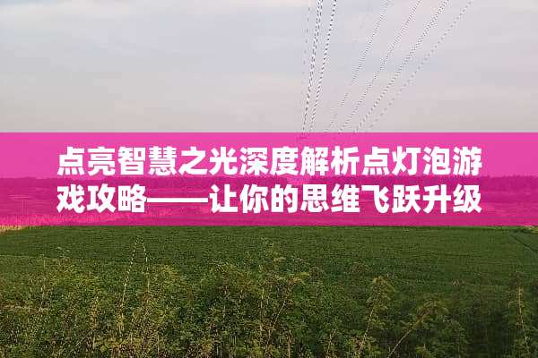 点亮智慧之光深度解析点灯泡游戏攻略——让你的思维飞跃升级！ 点灯泡游戏攻略