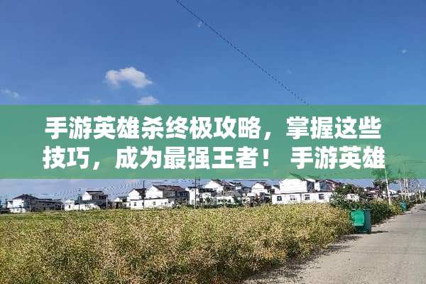 手游英雄杀终极攻略，掌握这些技巧，成为最强王者！ 手游英雄杀攻略